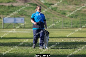 IMG_0467.jpg
