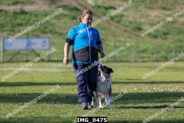 IMG_0475.jpg
