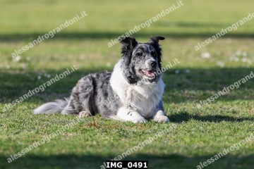 IMG_0491.jpg