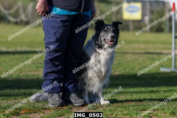 IMG_0502.jpg