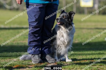 IMG_0509.jpg