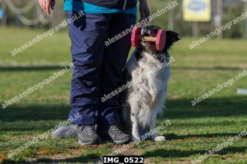IMG_0522.jpg