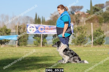 IMG_0529.jpg