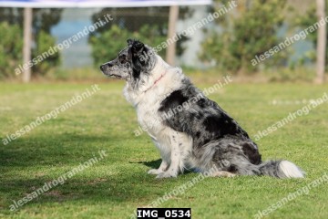 IMG_0534.jpg