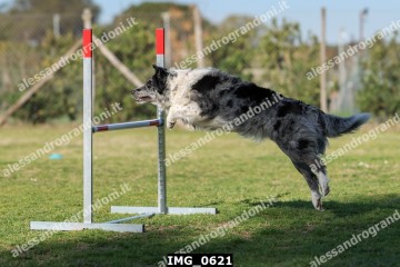 IMG_0621.jpg