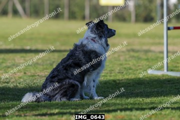 IMG_0643.jpg
