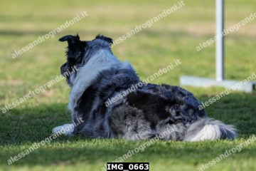 IMG_0663.jpg