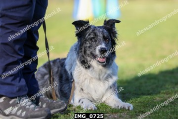 IMG_0725.jpg