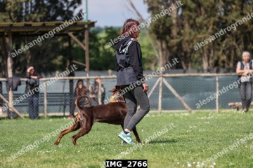 IMG_2766.jpg