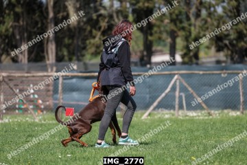 IMG_2770.jpg