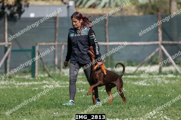 IMG_2813.jpg