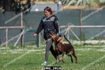 IMG_2816.jpg
