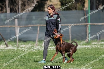 IMG_2826.jpg