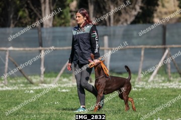 IMG_2832.jpg