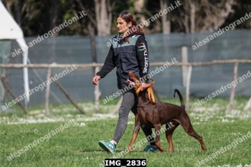 IMG_2836.jpg