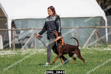IMG_2843.jpg