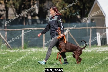 IMG_2848.jpg