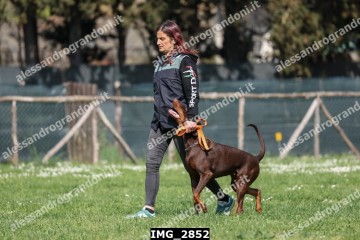 IMG_2852.jpg