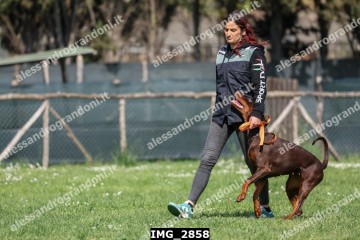 IMG_2858.jpg