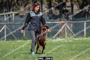 IMG_2861.jpg
