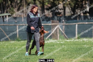 IMG_2863.jpg