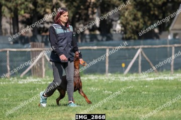 IMG_2868.jpg
