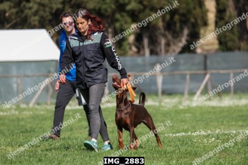 IMG_2883.jpg