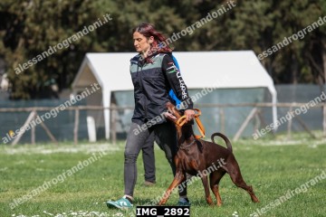 IMG_2892.jpg