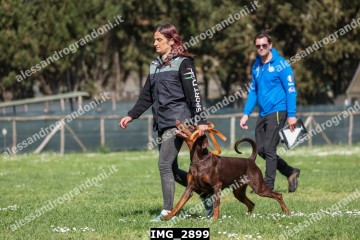 IMG_2899.jpg