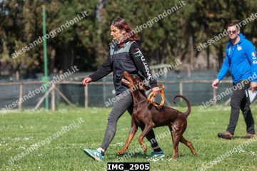 IMG_2905.jpg