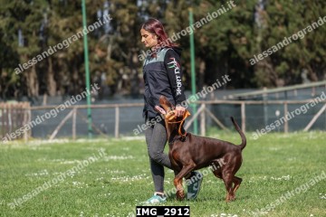 IMG_2912.jpg