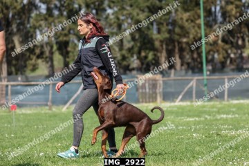 IMG_2922.jpg