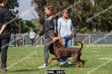 IMG_2927.jpg