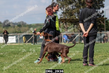 IMG_2936.jpg