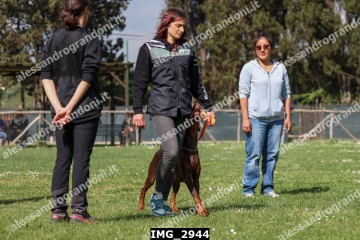 IMG_2944.jpg