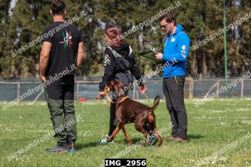 IMG_2956.jpg