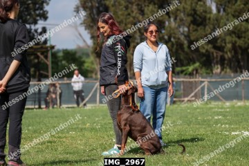 IMG_2967.jpg