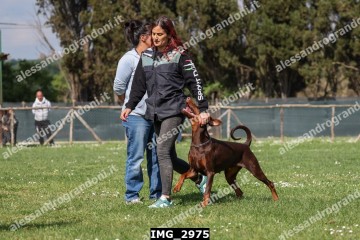 IMG_2975.jpg