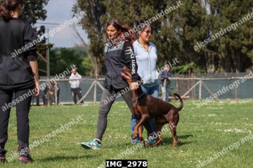 IMG_2978.jpg