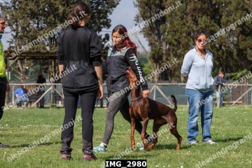 IMG_2980.jpg
