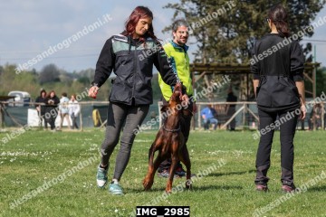 IMG_2985.jpg