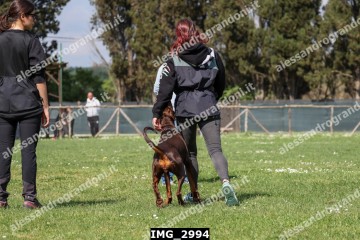 IMG_2994.jpg