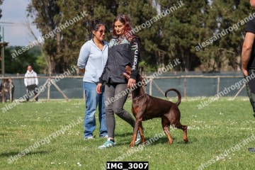 IMG_3007.jpg