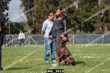 IMG_3015.jpg