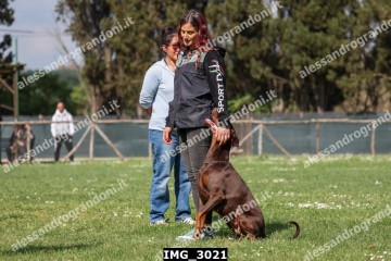 IMG_3021.jpg