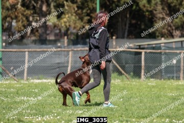 IMG_3035.jpg