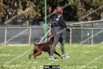 IMG_3038.jpg