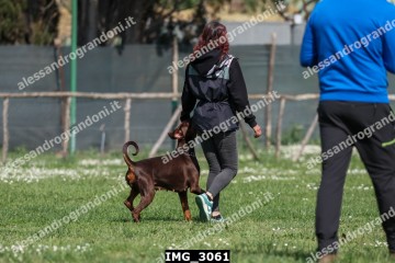 IMG_3061.jpg