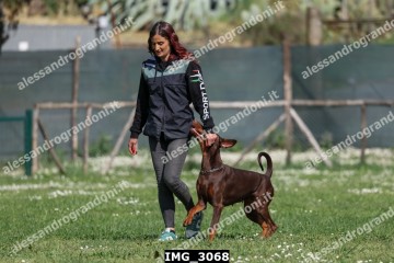 IMG_3068.jpg