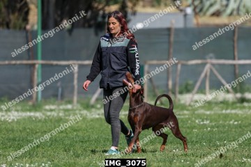 IMG_3075.jpg